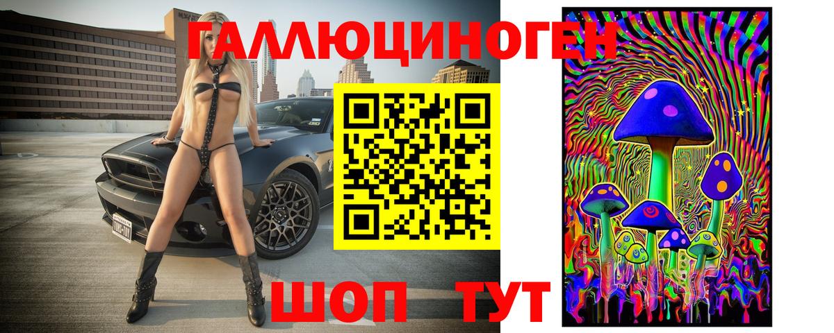 Псилоцибиновые грибы Psilocybine cubensis  Вход с VPN  Острогожск 